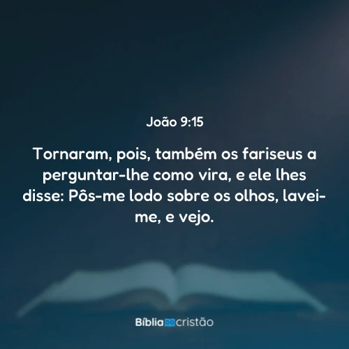 João 9:15