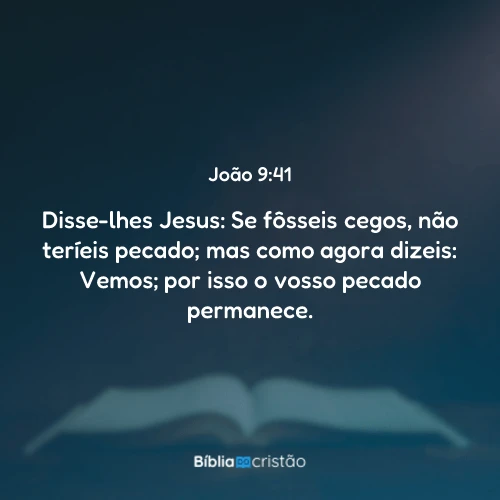João 9:41