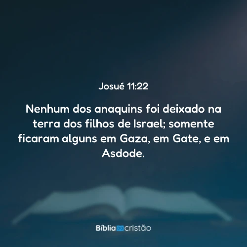 Josué 11:22