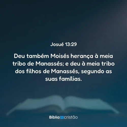 Josué 13:29
