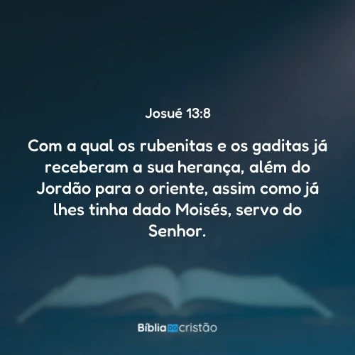 Josué 13:8