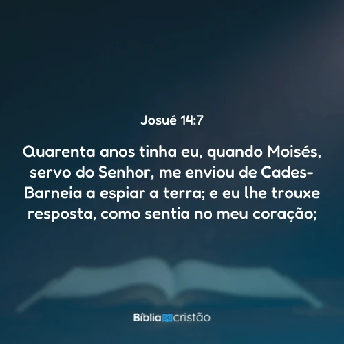 Josué 14:7