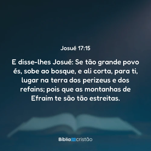 Josué 17:15