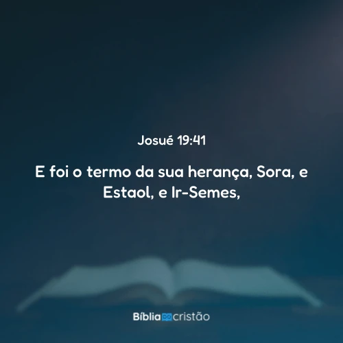 Josué 19:41