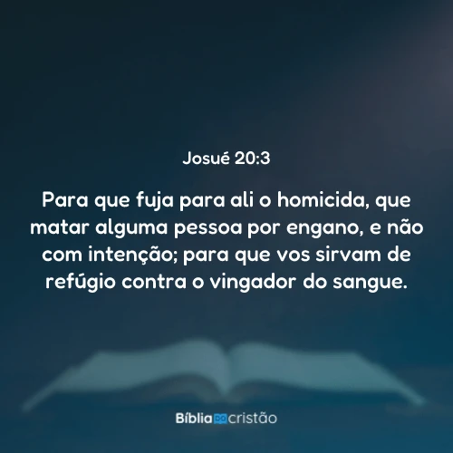 Josué 20:3