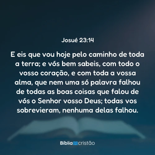 Josué 23:14