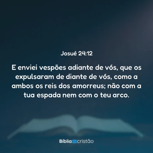 Josué 24:12