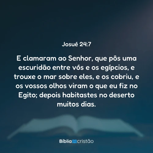 Josué 24:7