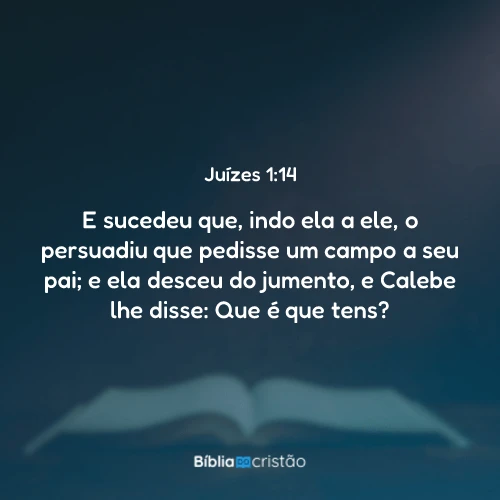 Juízes 1:14