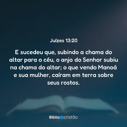Juízes 13:20