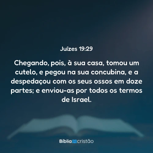 Juízes 19:29