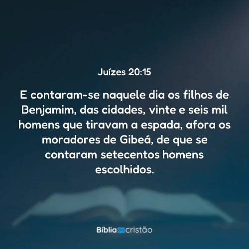 Juízes 20:15