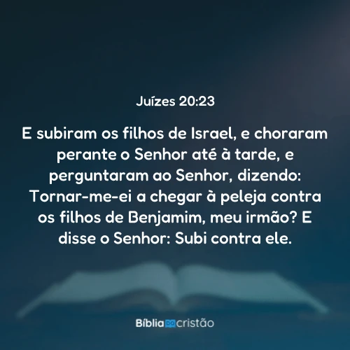 Juízes 20:23