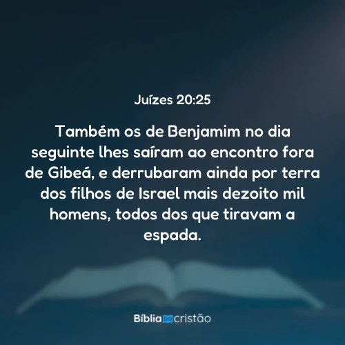 Juízes 20:25