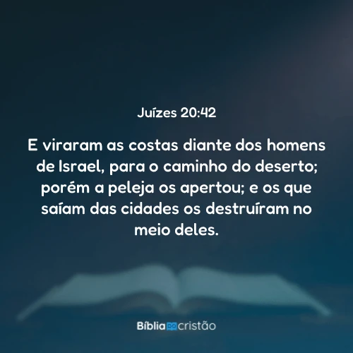 Juízes 20:42