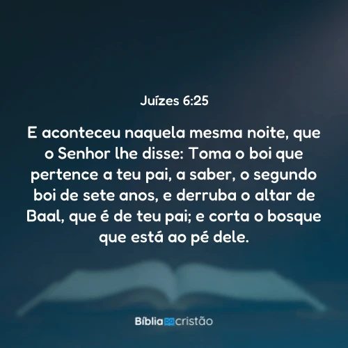 Juízes 6:25
