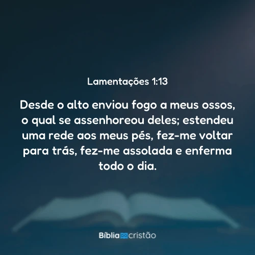 Lamentações 1:13