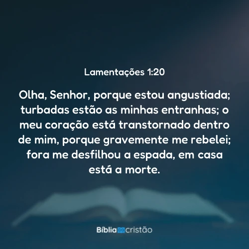 Lamentações 1:20