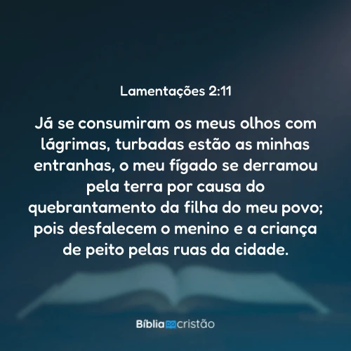 Lamentações 2:11