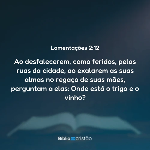 Lamentações 2:12