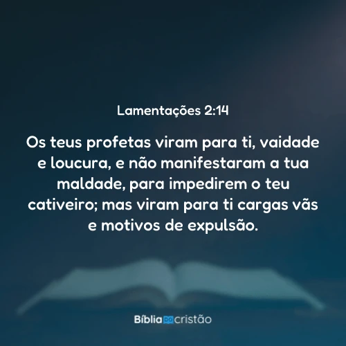Lamentações 2:14