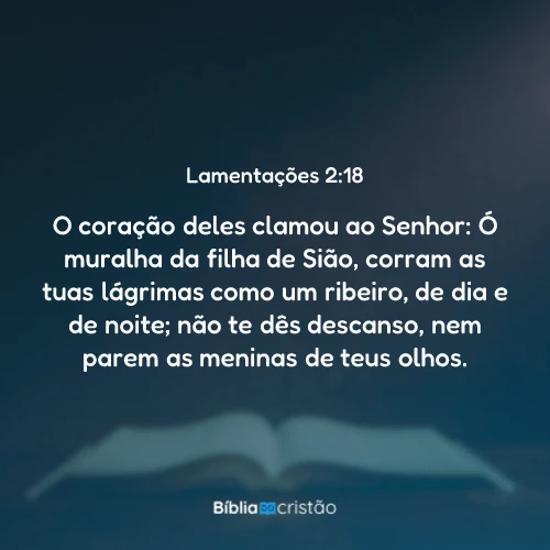 Lamentações 2:18