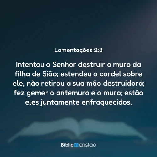 Lamentações 2:8