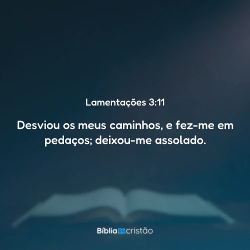 Lamentações 3:11