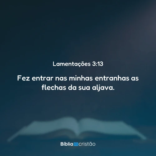 Lamentações 3:13