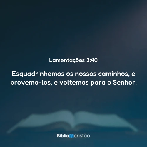 Lamentações 3:40
