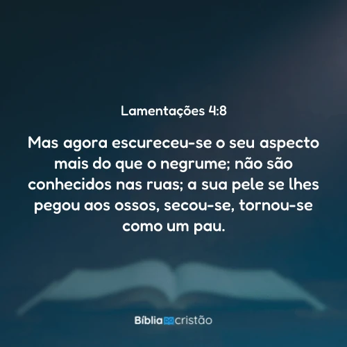 Lamentações 4:8
