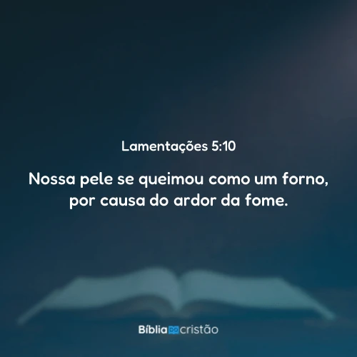 Lamentações 5:10