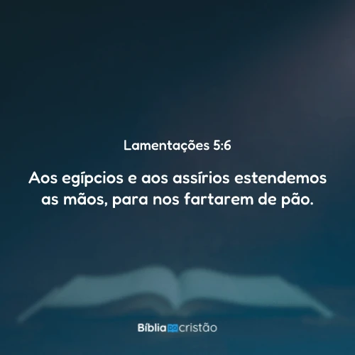 Lamentações 5:6