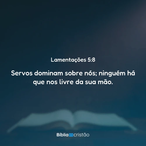 Lamentações 5:8
