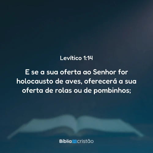 Levítico 1:14