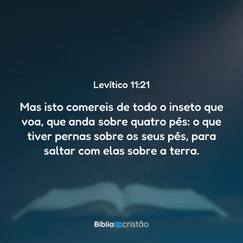 Levítico 11:21