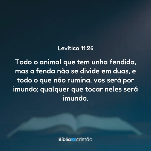 Levítico 11:26