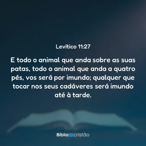 Levítico 11:27