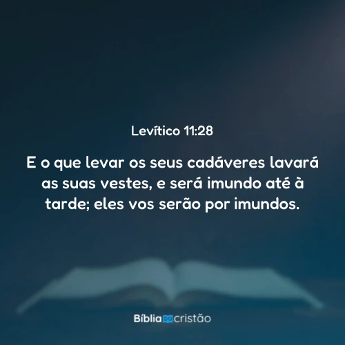 Levítico 11:28