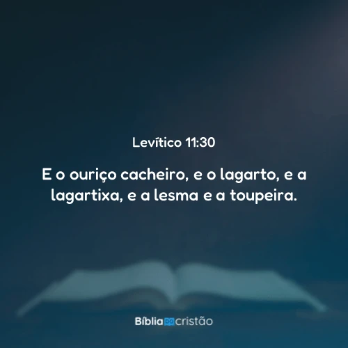 Levítico 11:30
