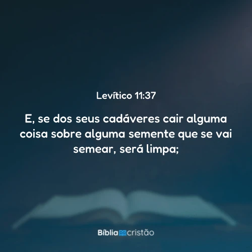 Levítico 11:37