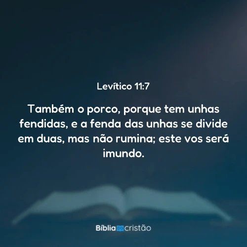 Levítico 11:7