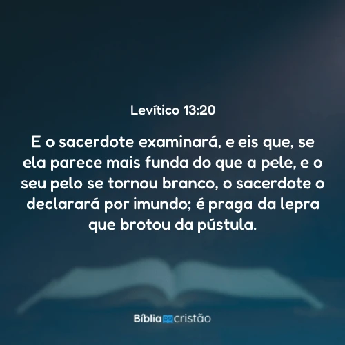 Levítico 13:20