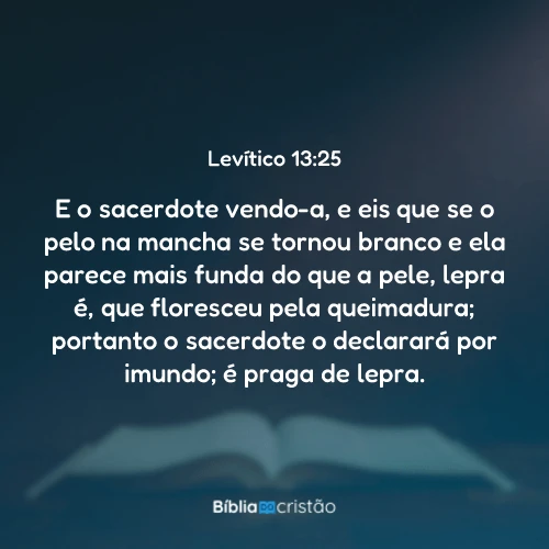 Levítico 13:25
