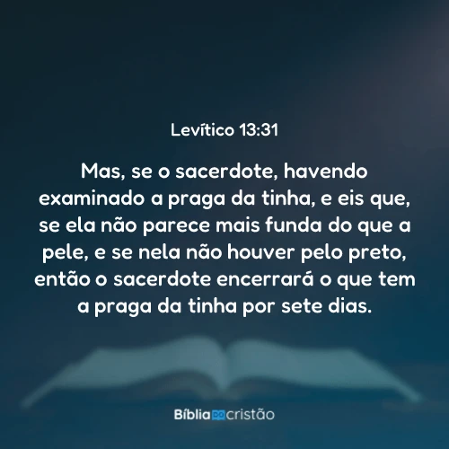 Levítico 13:31