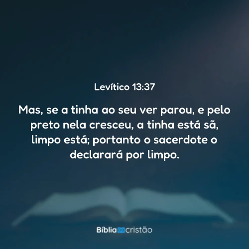 Levítico 13:37