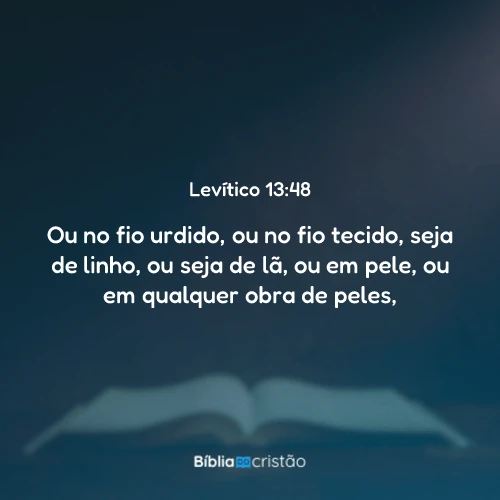 Levítico 13:48