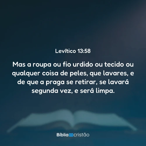Levítico 13:58