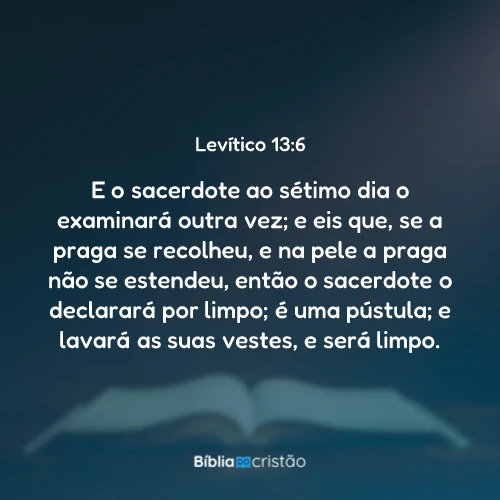 Levítico 13:6