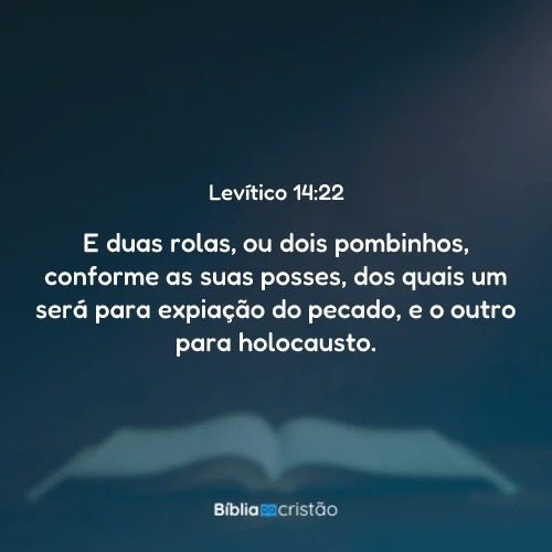 Levítico 14:22